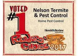 Nelson's Termite & Pest Control - Pest Control Services in Decatur, IL