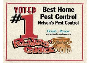 Nelson's Termite & Pest Control - Pest Control Services in Decatur, IL