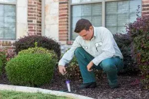 All-Safe Pest & Termite - Pest Control Services in Frisco, TX