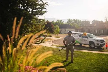 Greenix Pest Control - Pest Control Services in Grand Rapids, MI