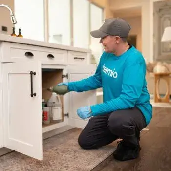 Termio Pest Control - Pest Control Services in Queen Creek, AZ