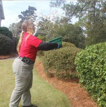 Palmetto Exterminators - Pest Control Services in Pooler, GA