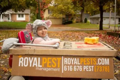 Royal Pest Management - Pest Control Services in Wyoming, MI