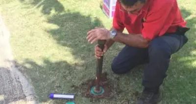 Aloha Termite & Pest Control - Pest Control Services in Wahiawa, HI