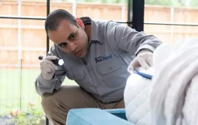 Kansas Pest Patrol - Pest Control Services in Wellsville, KS