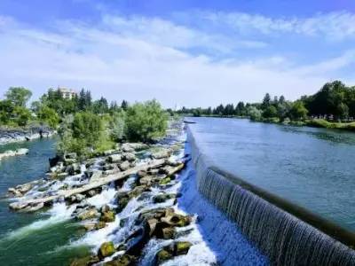 Insight Pest Solutions - Pest Control Services in Idaho Falls, ID