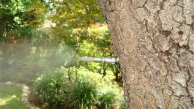 MosquitoNix Asheville - Landscape Construction in Chattanooga, TN