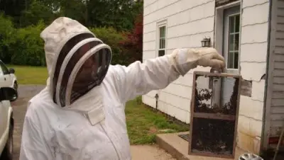 Abatem Exterminating - Pest Control Services in Brattleboro, VT
