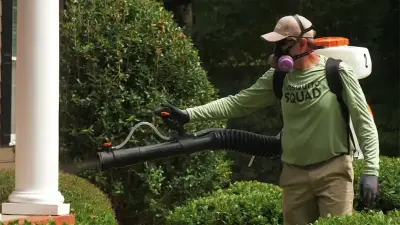 Mosquito Squad of Los Angeles - Pest Control Services in Tarzana, CA