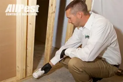 All Pest Control & Solutions - Pest Control Services in Roanoke, VA