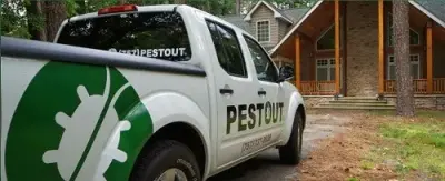Pestout - Pest Control Services in Newport News, VA