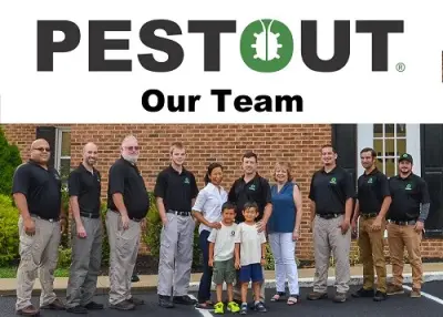 Pestout - Pest Control Services in Newport News, VA
