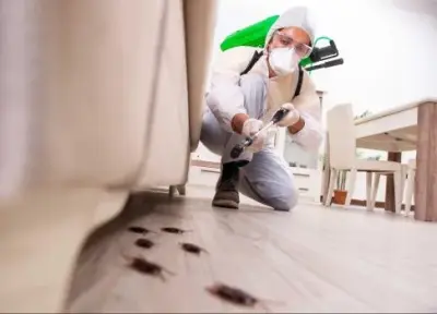 Des Moines Pro Pest - Pest Control Services in Des Moines, IA