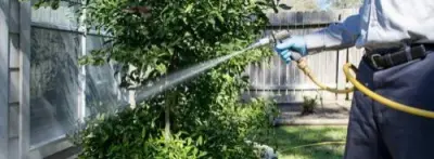 Reliant Pest Management Houston - Pest Control Services in Tomball, TX