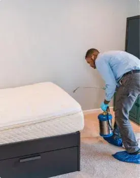 Insight Pest Control - Salem - Pest Control Services in Salem, OR