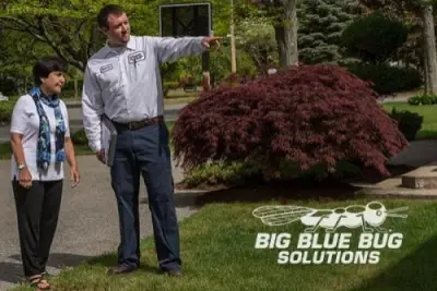 Big Blue Bug Solutions - Pest Control Services in Providence, RI
