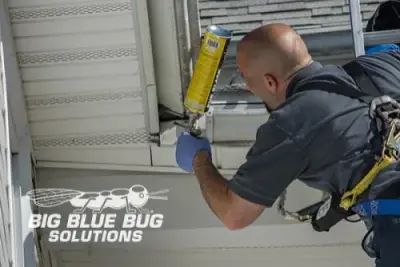 Big Blue Bug Solutions - Pest Control Services in Providence, RI