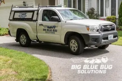 Big Blue Bug Solutions - Pest Control Services in Providence, RI