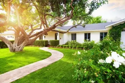 Cook Pest Management - Pest Control Services in Rohnert Park, CA