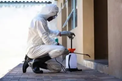 Cook Pest Management - Pest Control Services in Rohnert Park, CA