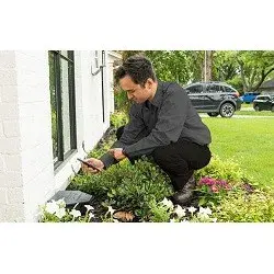Armed Force Pest Control Inc. - Pest Control Services in Middletown, CA