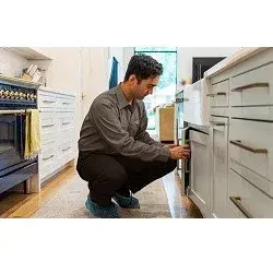 Armed Force Pest Control Inc. - Pest Control Services in Middletown, CA