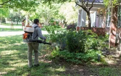 PinPoint Pest Solutions - Pest Control Services in Greer, SC