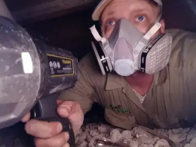 Prevent A Pest Inc - Pest Control Services in West Palm Beach, FL