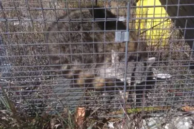 Prevent A Pest Inc - Pest Control Services in West Palm Beach, FL