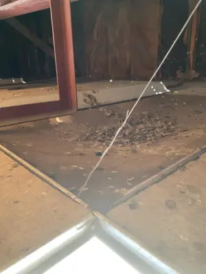 CTL Pest Solutions - Pest Control Services in Rio Rancho, NM