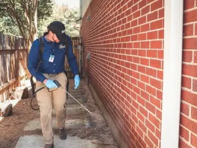 Alta Pest Control - Pest Control Services in Alexandria, VA