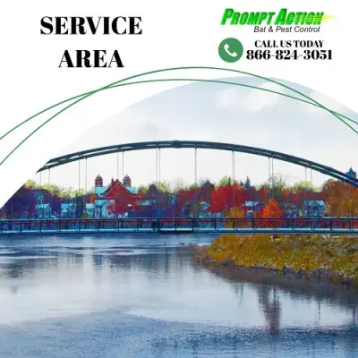 Prompt Action Bat & Pest Control - Pest Control Services in Altoona, WI