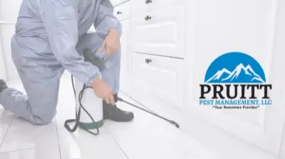 Pruitt Pest Management, LLC - Pest Control Services in Mount Airy, NC
