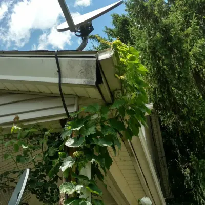 Complete Pest Solutions - Pest Control Services in Wooster, OH