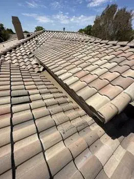 Raptor Pest Solutions - Pest Control Services in Mesa, AZ