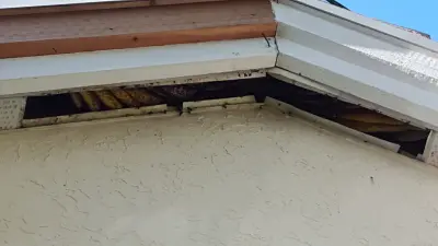 Evict-A-Bug Termite & Pest Control - Pest Control Services in Palm City, FL