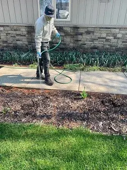Recon Pest Services - Pest Control Services in Omaha, NE