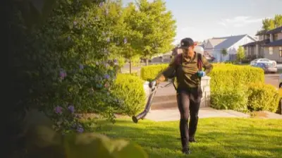 Ridd Pest Control - Pest Control Services in Atlanta, GA