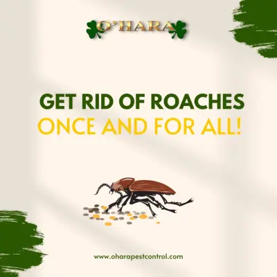 O'Hara Pest Control - Pest Control Services in West Palm Beach, FL