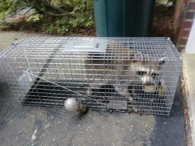 On The Go Services, LLC - Pest Control Services in Bowie, MD