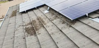 Next Generation Pest Control - Pest Control Services in Manteca, CA