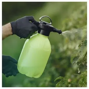 Solve Pest Pros - Pest Control Services in Richmond, VA