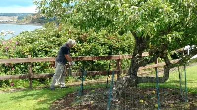 Sound Pest Solutions - Pest Control Services in Steilacoom, WA