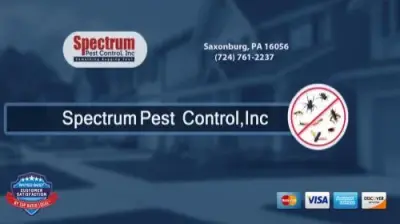 Spectrum Pest Control - Pest Control Services in Saxonburg, PA