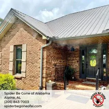 Spider Be Gone of Alabama - Pest Control Services in Alpine, AL