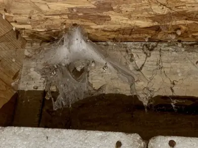 Far Hills Pest Control and Home Services - Pest Control Services in Centerville, MA