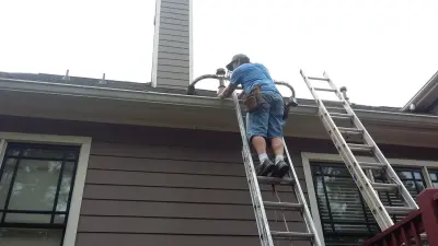 Georgia Dawgs Pest Wildlife Specialist - Pest Control Services in Macon, GA