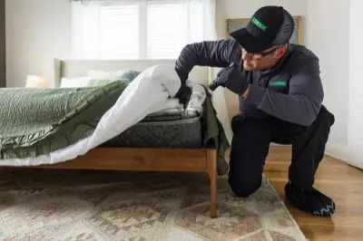 Terminix - Pest Control Services in Byron, GA