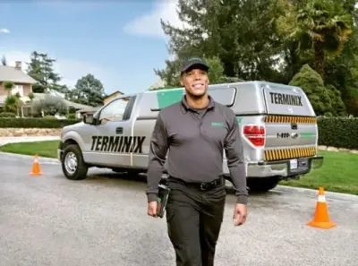 Terminix - Pest Control Services in Lufkin, TX