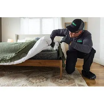 Terminix - Pest Control Services in Lansing, MI